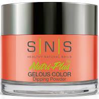 SNS Dipping Powder - 88