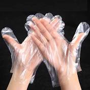 Green Beauty  Plastic Disposable Gloves - Box  / 500 pcs